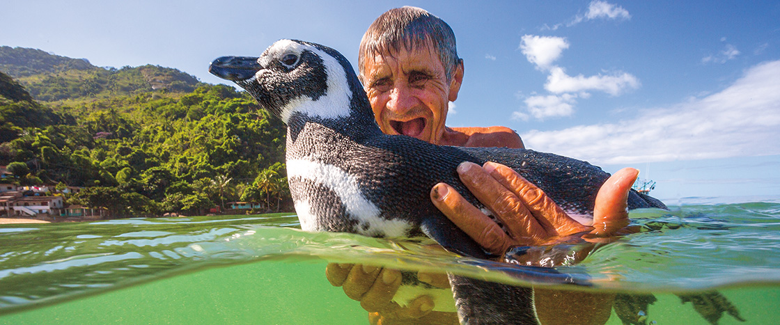 Photo of a man holding a penguin in water