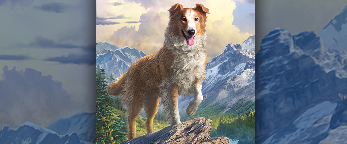 Image of a dog in nature