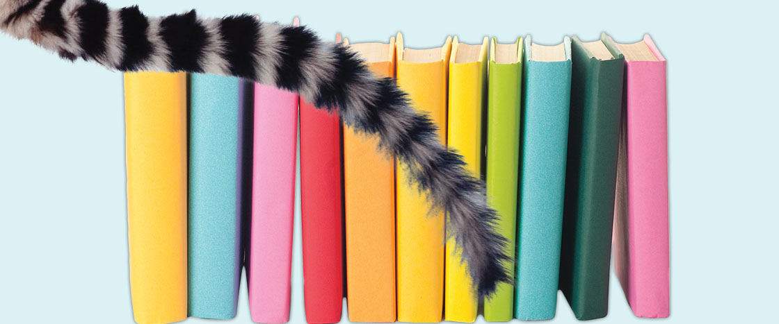 Image of lemur tail passing row of books